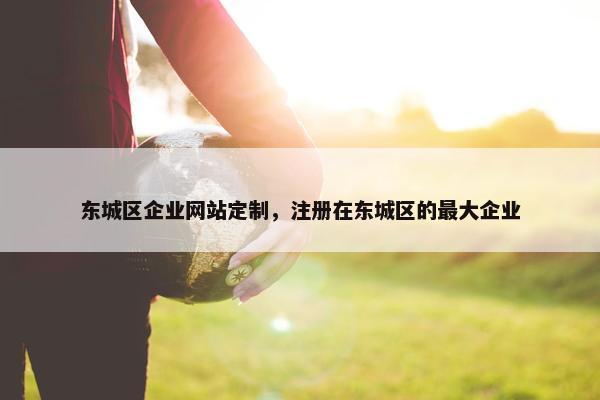 东城区企业网站定制，注册在东城区的最大企业