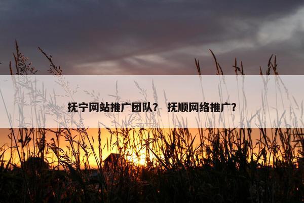 抚宁网站推广团队？ 抚顺网络推广？