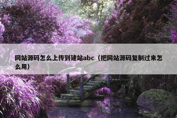 网站源码怎么上传到建站abc（把网站源码复制过来怎么用）