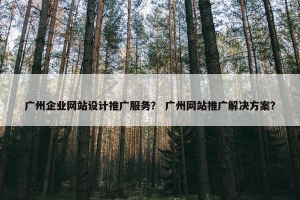 广州企业网站设计推广服务？ 广州网站推广解决方案？
