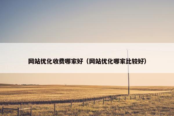 网站优化收费哪家好（网站优化哪家比较好）