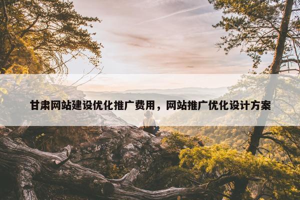 甘肃网站建设优化推广费用，网站推广优化设计方案