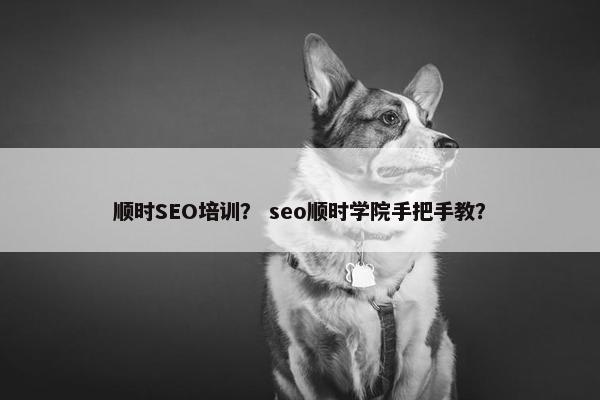顺时SEO培训？ seo顺时学院手把手教？