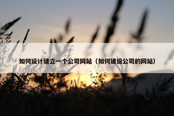 如何设计建立一个公司网站（如何建设公司的网站）