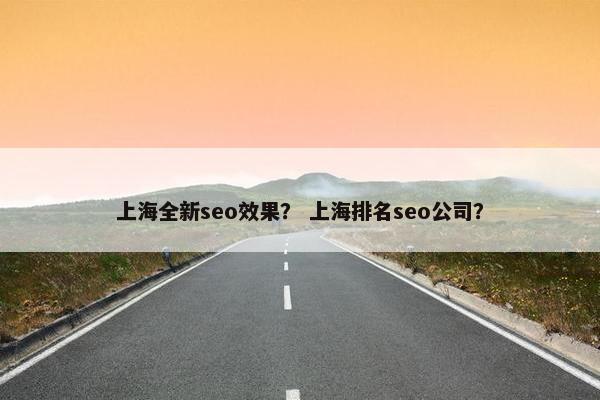 上海全新seo效果？ 上海排名seo公司？