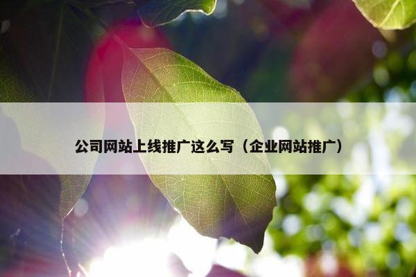 公司网站上线推广这么写（企业网站推广）