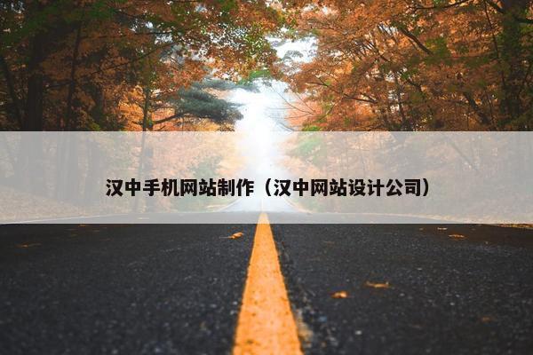 汉中手机网站制作（汉中网站设计公司）