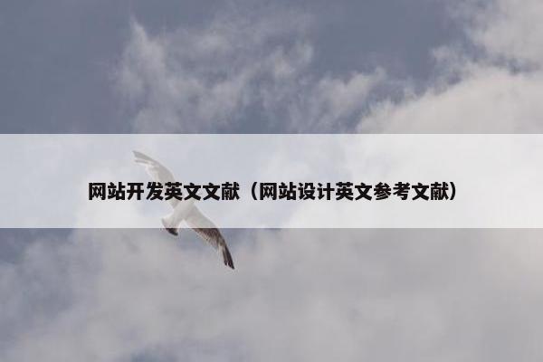 网站开发英文文献（网站设计英文参考文献）