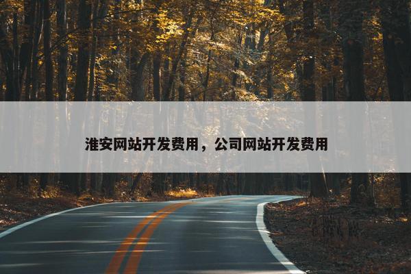 淮安网站开发费用，公司网站开发费用