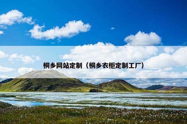 桐乡网站定制（桐乡衣柜定制工厂）