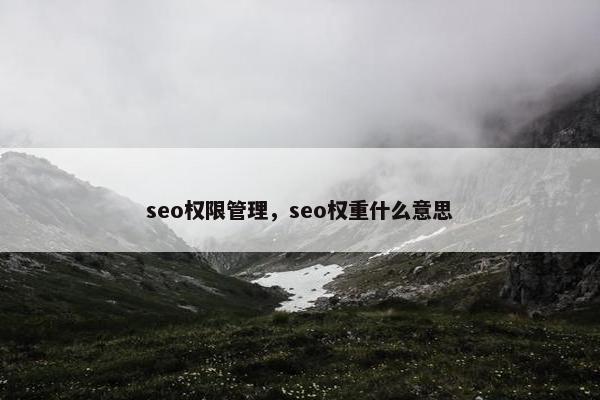 seo权限管理，seo权重什么意思