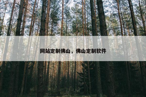 网站定制佛山,佛山定制软件 网站定制佛山,佛山定制软件