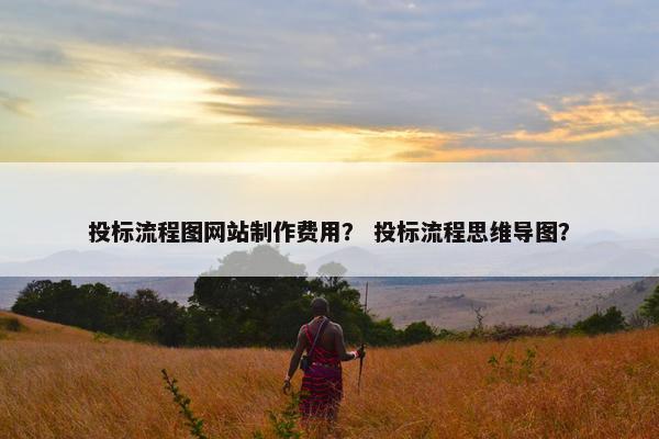 投标流程图网站制作费用？ 投标流程思维导图？