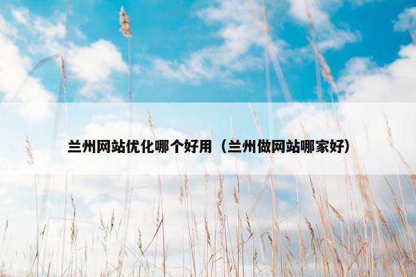 兰州网站优化哪个好用（兰州做网站哪家好）