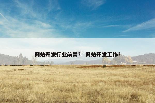 网站开发行业前景？ 网站开发工作？