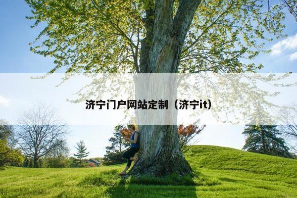 济宁门户网站定制(济宁it) 济宁门户网站定制(济宁it)