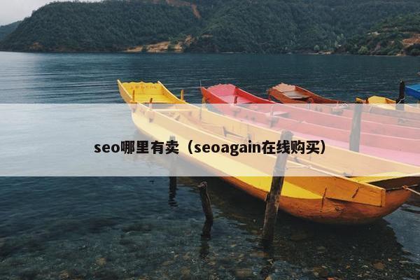 seo哪里有卖（seoagain在线购买）
