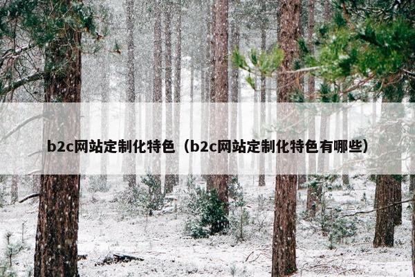 b2c网站定制化特色（b2c网站定制化特色有哪些）