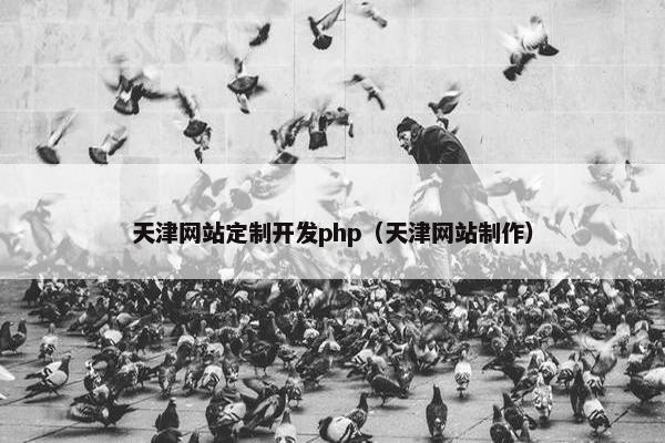 天津网站定制开发php（天津网站制作）