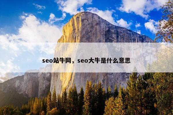 seo站牛网,seo大牛是什么意思 seo站牛网,seo大牛是什么意思