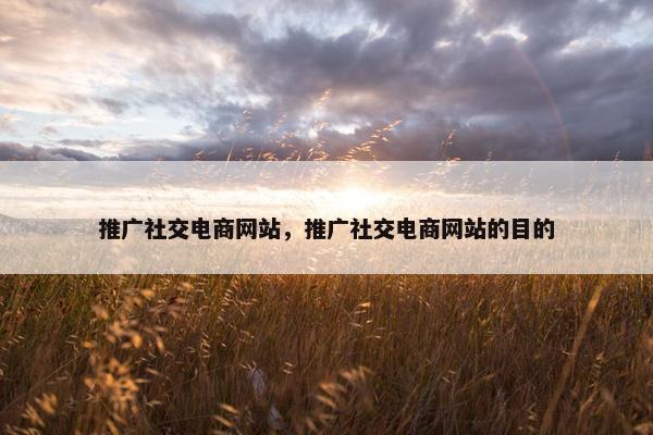 推广社交电商网站，推广社交电商网站的目的