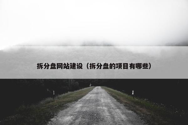 拆分盘网站建设（拆分盘的项目有哪些）
