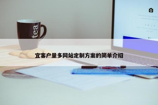 宜客户量多网站定制方案的简单介绍