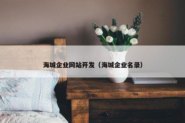 海城企业网站开发（海城企业名录）