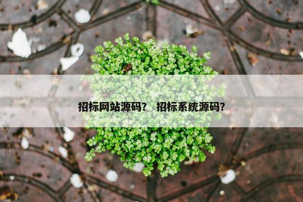 招标网站源码？ 招标系统源码？
