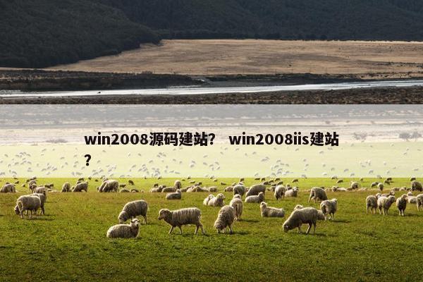 win2008源码建站？ win2008iis建站？