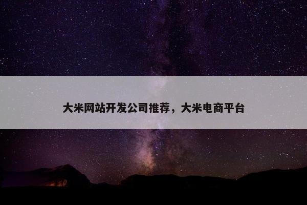 大米网站开发公司推荐，大米电商平台