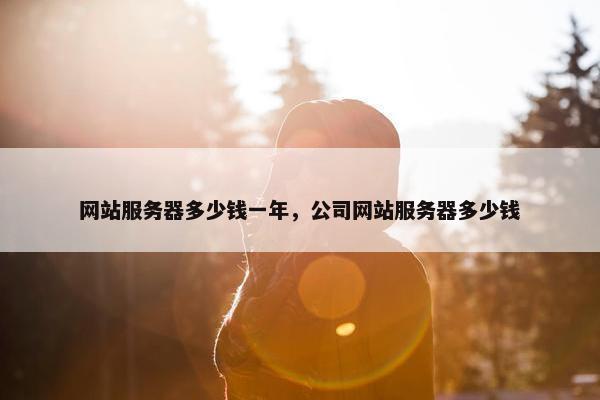 网站服务器多少钱一年，公司网站服务器多少钱