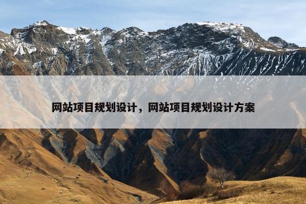 网站项目规划设计，网站项目规划设计方案