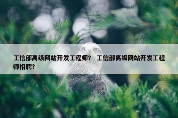 工信部高级网站开发工程师？ 工信部高级网站开发工程师招聘？