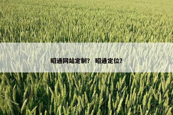 昭通网站定制？ 昭通定位？