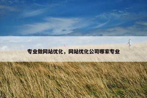 专业做网站优化,网站优化公司哪家专业 专业做网站优化,网站优化公司哪家专业