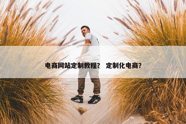电商网站定制教程？ 定制化电商？