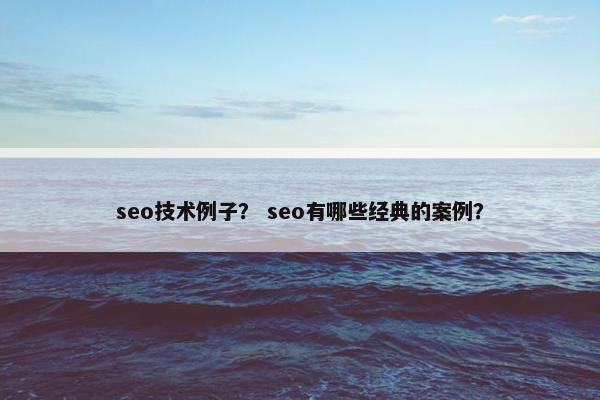 seo技术例子？ seo有哪些经典的案例？