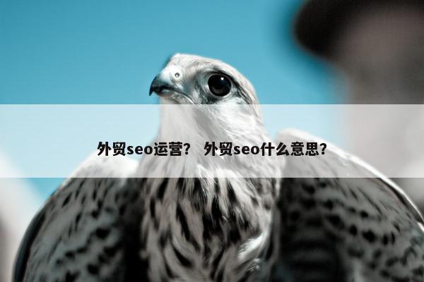 外贸seo运营？ 外贸seo什么意思？