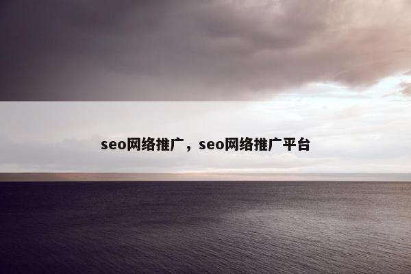 seo网络推广，seo网络推广平台