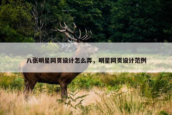 八张明星网页设计怎么弄,明星网页设计范例 八张明星网页设计怎么弄,明星网页设计范例