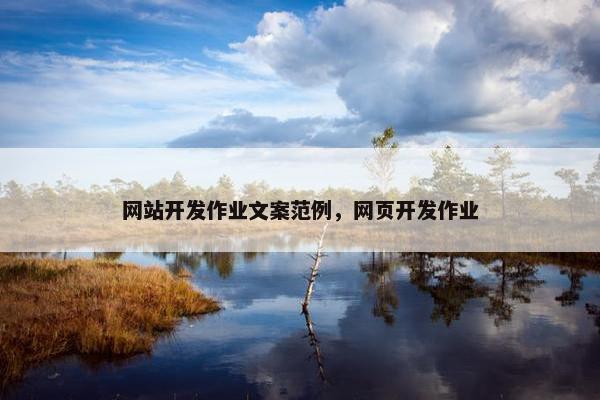 网站开发作业文案范例，网页开发作业