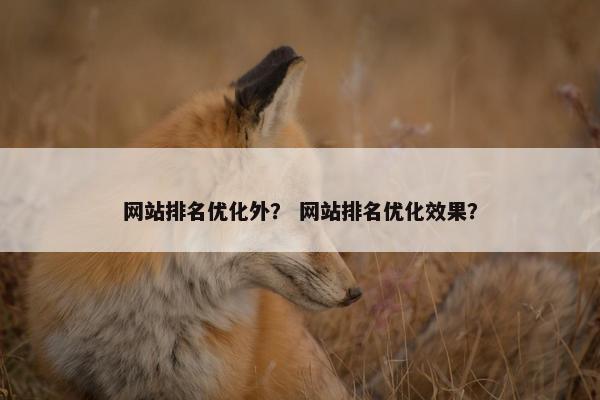网站排名优化外？ 网站排名优化效果？