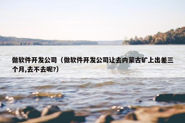 做软件开发公司（做软件开发公司让去内蒙古矿上出差三个月,去不去呢?）