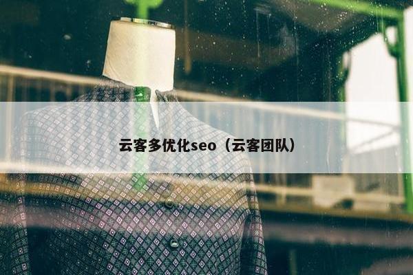云客多优化seo（云客团队）