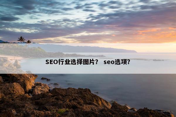 SEO行业选择图片？ seo选项？