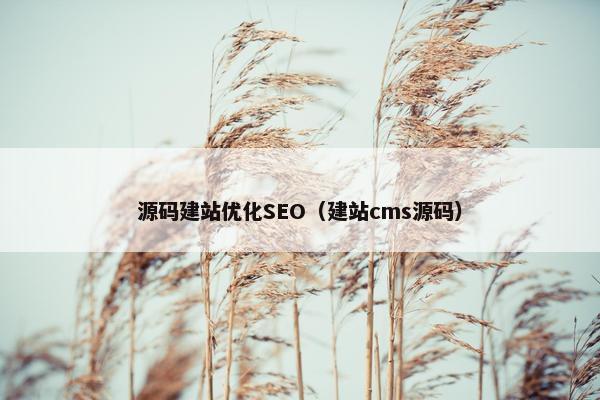源码建站优化SEO（建站cms源码）