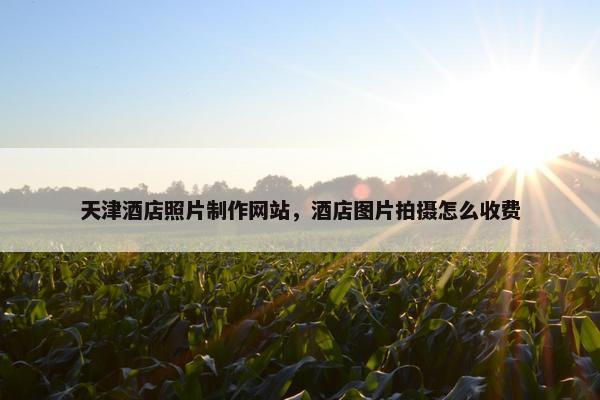 天津酒店照片制作网站,酒店图片拍摄怎么收费 天津酒店照片制作网站,酒店图片拍摄怎么收费