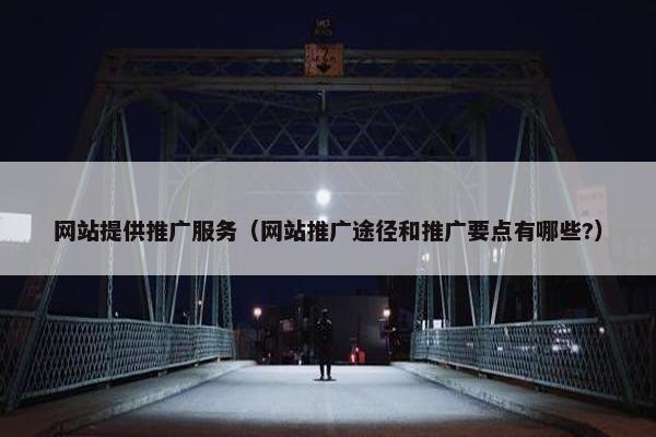 网站提供推广服务(网站推广途径和推广要点有哪些?) 网站提供推广服务(网站推广途径和推广要点有哪些?)