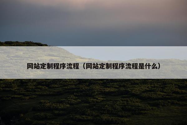 网站定制程序流程(网站定制程序流程是什么) 网站定制程序流程(网站定制程序流程是什么)